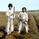 옛날꽁보리밥 이미지