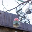 강변운동장제방 이미지