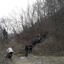 서천초등학교 이미지