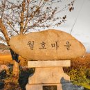 복룡농장 이미지