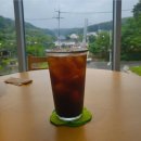 고요한 숲 이미지