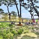 세도초등학교 이미지