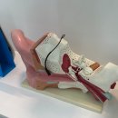 시트러스 보청기 청각센터 | 광주 보청기 청력의 새로운 시작, 박진우보청기윤소희청각재활센터 광주점 방문 후기!