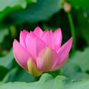 송 행정사사무소 이미지