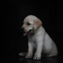 계양SKY동물메디컬센터 이미지