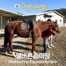 멜버른 승마 | 서울 근교 멜버른승마장 경기도 승마장 데이트 아이랑 가볼만한곳
