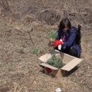 농원마을경로당 이미지