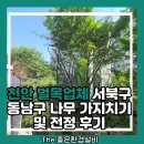 동남환경 | 천안 벌목업체 서북구 동남구 나무 가지치기 및 전정 후기