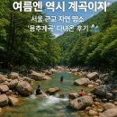 계곡 | 여름엔 역시 계곡이지! 서울 근교 자연 명소 &#39;용추계곡&#39; 다녀온 후기 🏞️