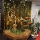 순창군청 이미지