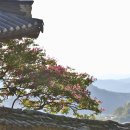 금시당 - 하남시 대청로 119-1 | 금시당
