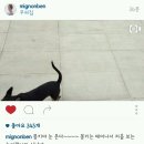 몽스타 이미지