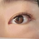 미스미우(Missmiu) | 수성구 속눈썹펌 잘하는 곳 | Missmiu(미스미우) 속눈썹펌 솔직 후기