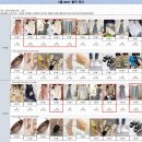 베스트클릭 이미지