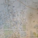 노원-현장-1062 | 앨리스 허강의,임장지도 만들기,노원구 대장아파트