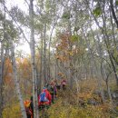 남해-110 이미지