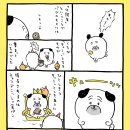 2026년 퍼그 생일 이미지