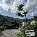 구름이쉬어가는농원 | 아이와 의령 구름바위농원 후기 🌳 시골살이 감성 가득한 자연 체험 공간!