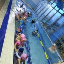 어푸어푸 이미지