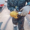 역곡2동주민센터 이미지