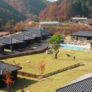 스테이 펫 살롱 이미지