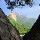 응봉농장 이미지