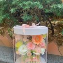 목동생화 이미지