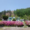 시나몬펜션 이미지