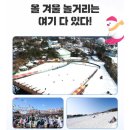 서울 근교 눈썰매장 빙어낚시 잡는 법 내돈내산 후기 서울랜드 가격 할인 주차 팁