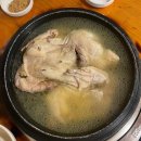 고기신랑버섯각시