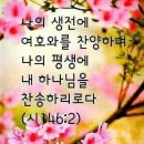 시편61 이미지