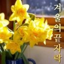 운전면허증 반납 이미지