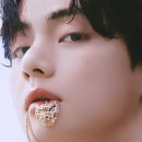 태형코리아 - 금천구 | 태형코리아