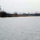 대림동산축구장 이미지