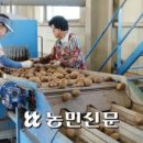 강릉농협농산물산지유통센터 이미지