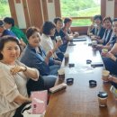 메디멘토 이미지