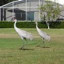 (주)샌드힐 이미지