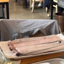 삼관왕장어 가좌점