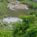 공설농장 이미지