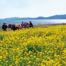 보성과학(주) 대한민국 구석구석