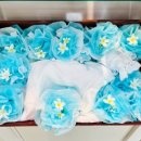 아이들랜드 이미지