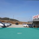 엠알렌트카 이미지