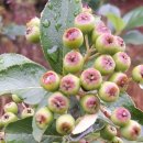 보은농장 이미지