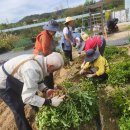 산마을농장 이미지