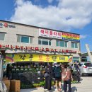 현대농약종묘사 네이버블로그