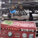 카젠백석점 이미지