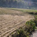 대운산리 이미지