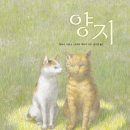 양지(아) 이미지