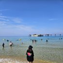 동해삼척태백축산농업협동조합 | 동해 소복소복 - 여름휴가 시작은 동해 맛집 소복소복 새우소바로.. 동해바다 삼척해수욕장으로. (8/1, 금)