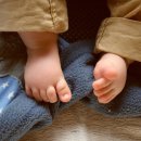 단원어린이도서관 이미지